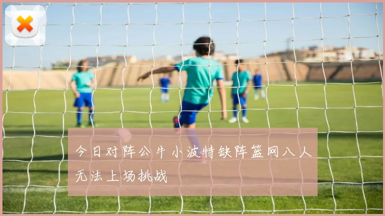 今日对阵公牛小波特缺阵篮网八人无法上场挑战
